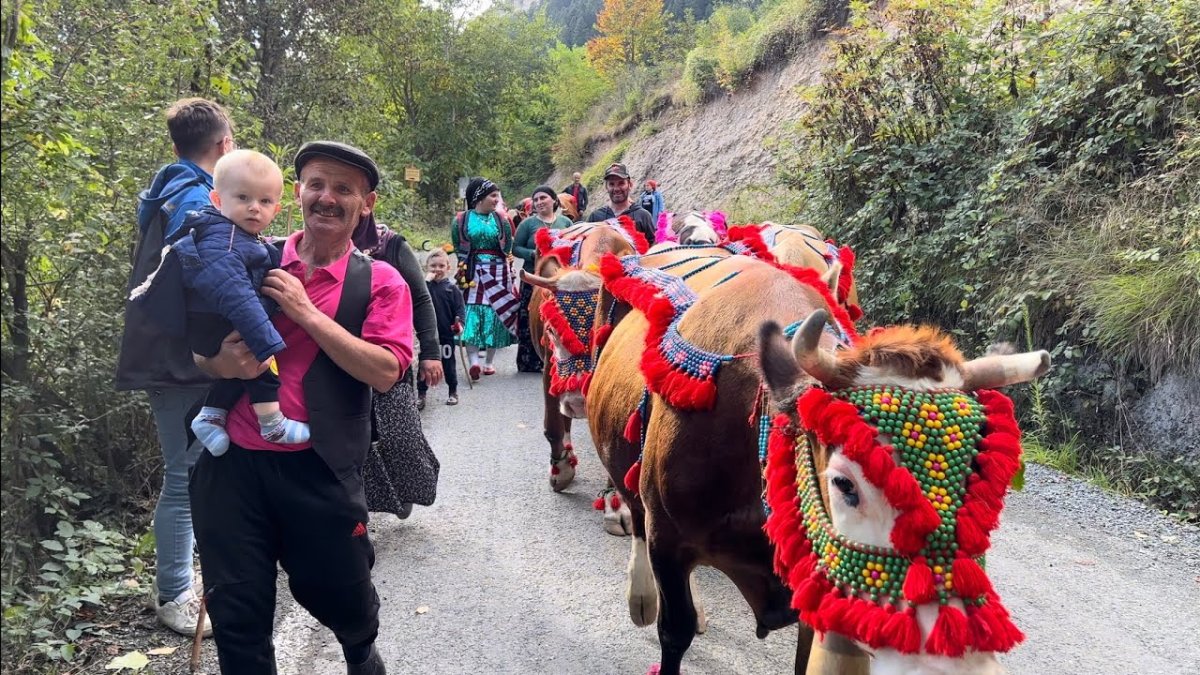 Yaz geldi yaylalara göç başladı